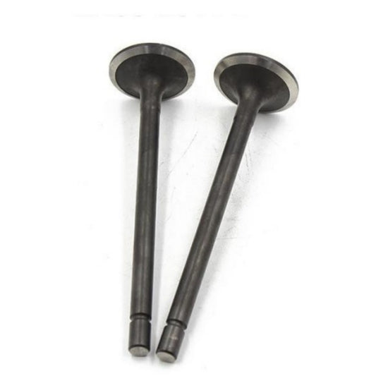 Intake Valves for Dodge Durango for Challenger Charger 18-21