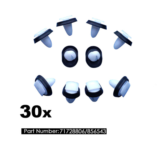 30-piece for Fiat Ducato Exterior Side Molding with Lower Door Trim Clip Set