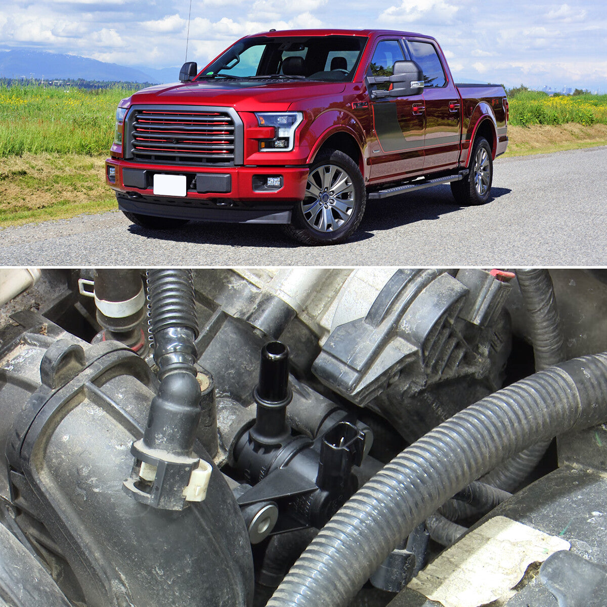 Sho Haiqing's clean and simple version of F-150 F-350 Edge Fusion Escape